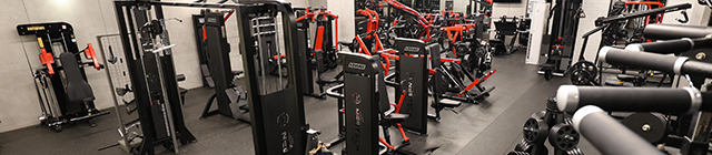 럭키짐_모바일용